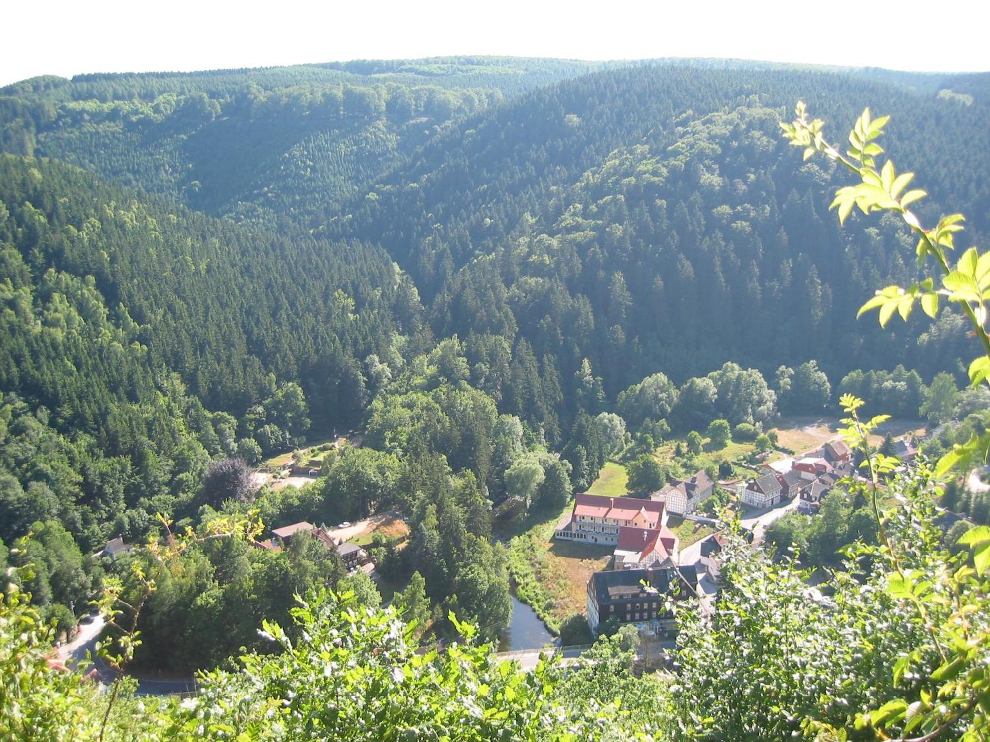 Greenline Ferienhotel Forelle Thale Kültér fotó